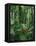 Heliconia flower, Costa Rica-Frans Lemmens-Framed Premier Image Canvas