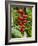 Heliconia Flower, Kula Eco Park, Coral Coast, Viti Levu, Fiji, South Pacific-David Wall-Framed Photographic Print