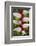 Heliconia Flower-Ken Archer-Framed Photographic Print