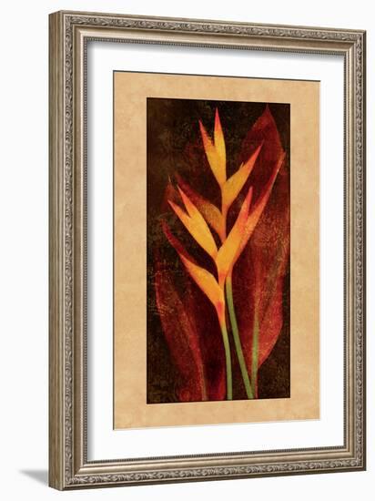 Heliconia-John Seba-Framed Art Print