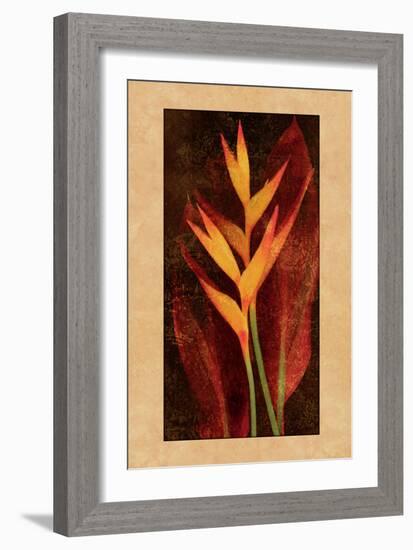 Heliconia-John Seba-Framed Art Print