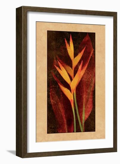 Heliconia-John Seba-Framed Art Print