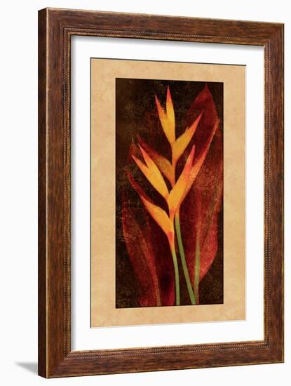 Heliconia-John Seba-Framed Art Print