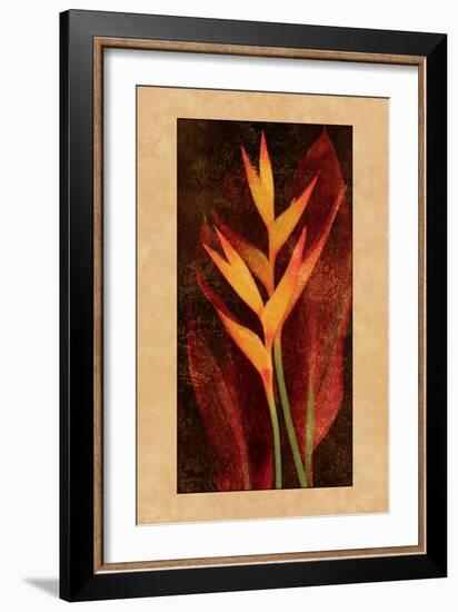 Heliconia-John Seba-Framed Art Print