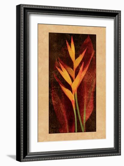 Heliconia-John Seba-Framed Art Print