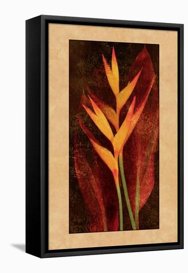 Heliconia-John Seba-Framed Stretched Canvas