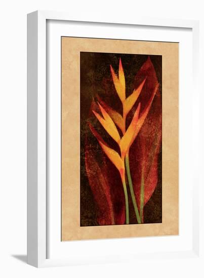 Heliconia-John Seba-Framed Premium Giclee Print