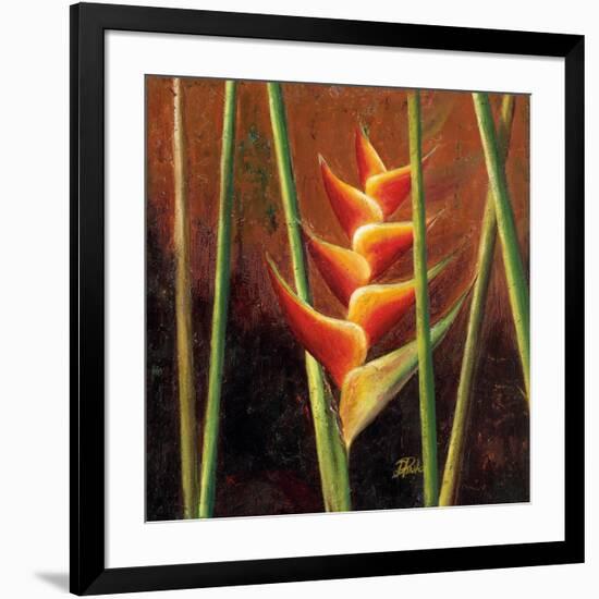 Heliconias En Naranja II-Patricia Pinto-Framed Premium Giclee Print