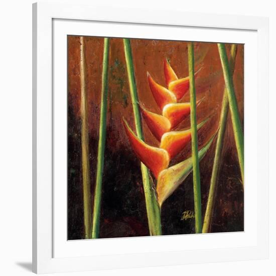 Heliconias En Naranja II-Patricia Pinto-Framed Premium Giclee Print