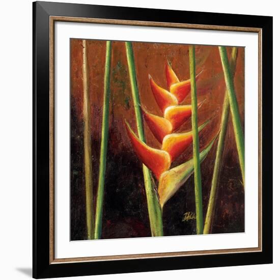 Heliconias En Naranja II-Patricia Pinto-Framed Premium Giclee Print