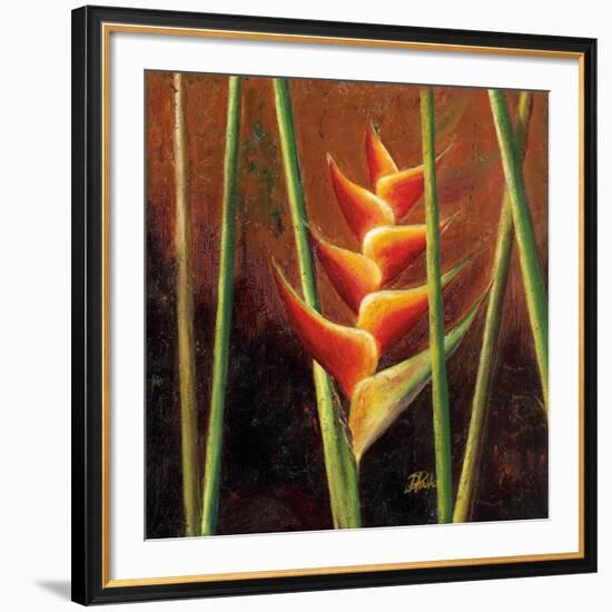 Heliconias En Naranja II-Patricia Pinto-Framed Premium Giclee Print