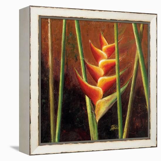 Heliconias En Naranja II-Patricia Pinto-Framed Stretched Canvas