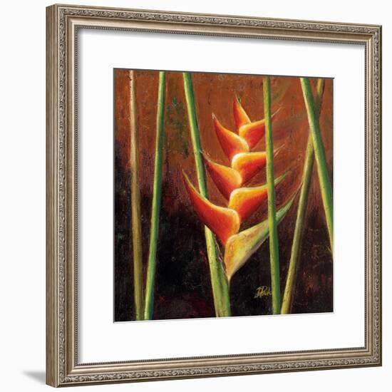 Heliconias En Naranja II-Patricia Pinto-Framed Premium Giclee Print