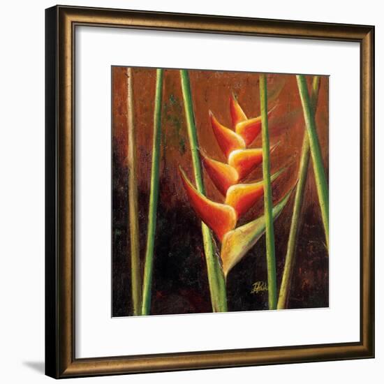 Heliconias En Naranja II-Patricia Pinto-Framed Premium Giclee Print