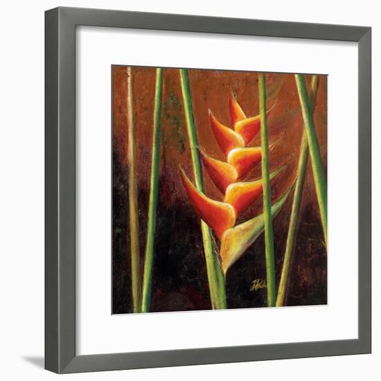 Heliconias En Naranja II-Patricia Pinto-Framed Premium Giclee Print