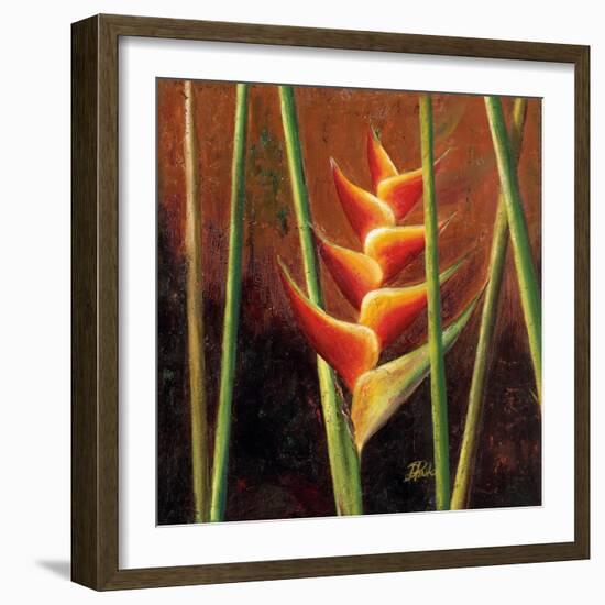 Heliconias En Naranja II-Patricia Pinto-Framed Premium Giclee Print