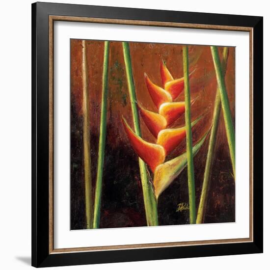 Heliconias En Naranja II-Patricia Pinto-Framed Premium Giclee Print