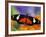 Heliconius Doris in Red Phase Resting on Lantana-Darrell Gulin-Framed Photographic Print