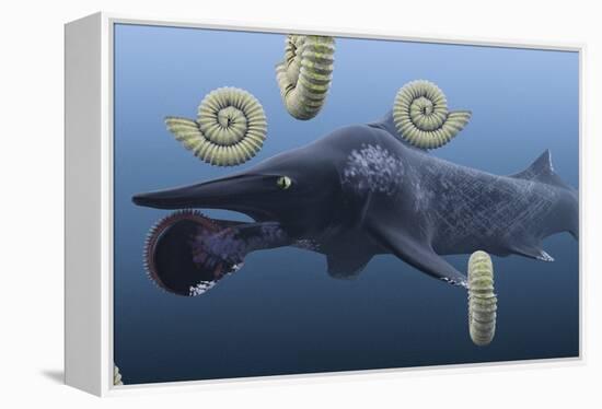 Helicoprion, with Ammonites-Christian Darkin-Framed Premier Image Canvas