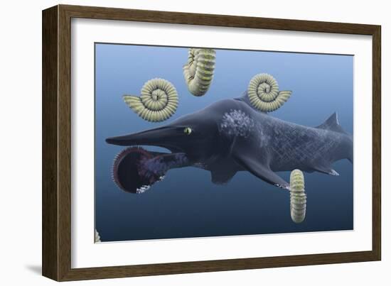 Helicoprion, with Ammonites-Christian Darkin-Framed Photographic Print