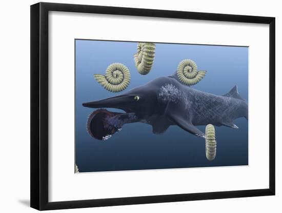 Helicoprion, with Ammonites-Christian Darkin-Framed Photographic Print