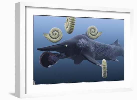 Helicoprion, with Ammonites-Christian Darkin-Framed Photographic Print