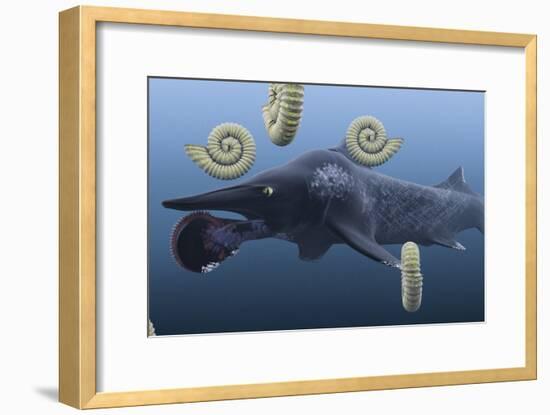 Helicoprion, with Ammonites-Christian Darkin-Framed Photographic Print