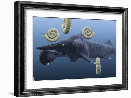 Helicoprion, with Ammonites-Christian Darkin-Framed Photographic Print