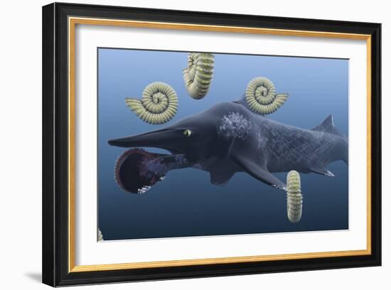 Helicoprion, with Ammonites-Christian Darkin-Framed Photographic Print