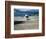 Helicopter Lifting Off, Juneau, Alaska, USA-Terry Eggers-Framed Photographic Print