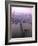 Helicopter View of the Brooklyn Bridge, New York City-Dmitri Kessel-Framed Photographic Print