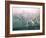 Helicopter Views of New York City's Manhattan and Brooklyn Bridges-Dmitri Kessel-Framed Photographic Print