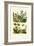 Heliotrope, 1833-39-null-Framed Giclee Print