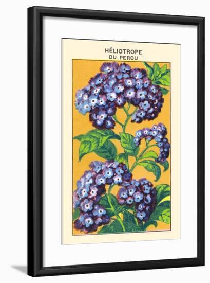 Heliotrope Du Perou-null-Framed Art Print