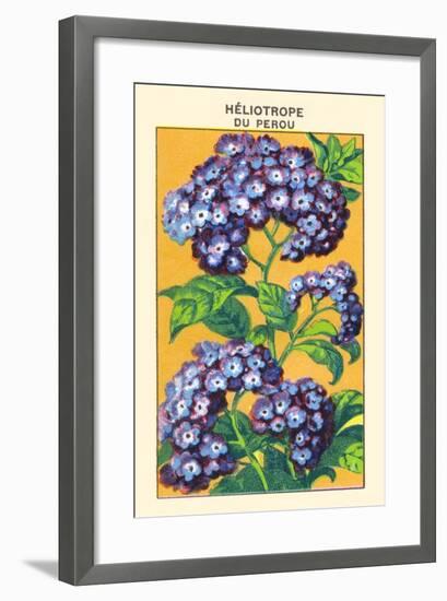 Heliotrope Du Perou-null-Framed Art Print