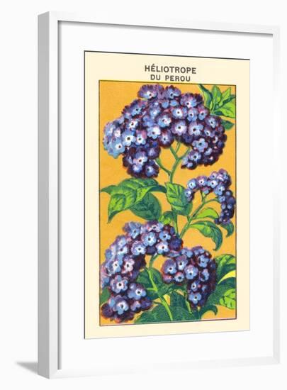 Heliotrope Du Perou-null-Framed Art Print