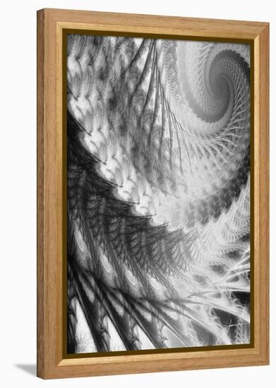 Helix II-James Burghardt-Framed Stretched Canvas