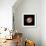 Helix Nebula, HST Image-null-Framed Premium Photographic Print displayed on a wall