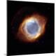 Premium Photographic Print