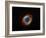 Helix Nebula in Aquarius (NGC 7293)-Stocktrek Images-Framed Photographic Print