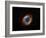 Helix Nebula in Aquarius (NGC 7293)-Stocktrek Images-Framed Photographic Print