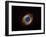 Helix Nebula in Aquarius (NGC 7293)-Stocktrek Images-Framed Photographic Print