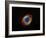 Helix Nebula in Aquarius (NGC 7293)-Stocktrek Images-Framed Photographic Print