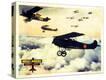 Stretched Canvas Print