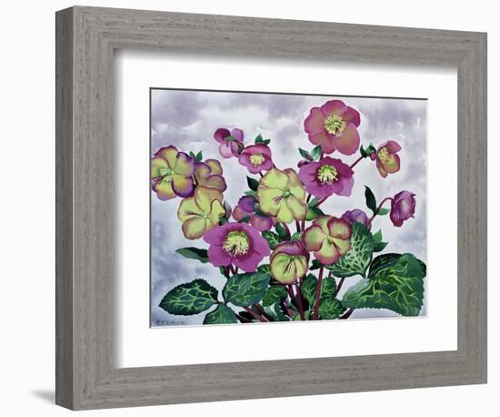 Helleborus (2), 2019 (Watercolour on Paper)-Christopher Ryland-Framed Giclee Print