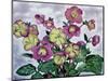 Helleborus (2), 2019 (Watercolour on Paper)-Christopher Ryland-Mounted Giclee Print