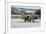 Hellenic Air Force Ta-7C Corsair Taxiing at Araxos Air Base-Stocktrek Images-Framed Photographic Print