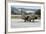 Hellenic Air Force Ta-7C Corsair Taxiing at Araxos Air Base-Stocktrek Images-Framed Photographic Print