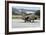 Hellenic Air Force Ta-7C Corsair Taxiing at Araxos Air Base-Stocktrek Images-Framed Photographic Print