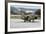 Hellenic Air Force Ta-7C Corsair Taxiing at Araxos Air Base-Stocktrek Images-Framed Photographic Print